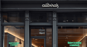 The Allbirds Retail Store 
